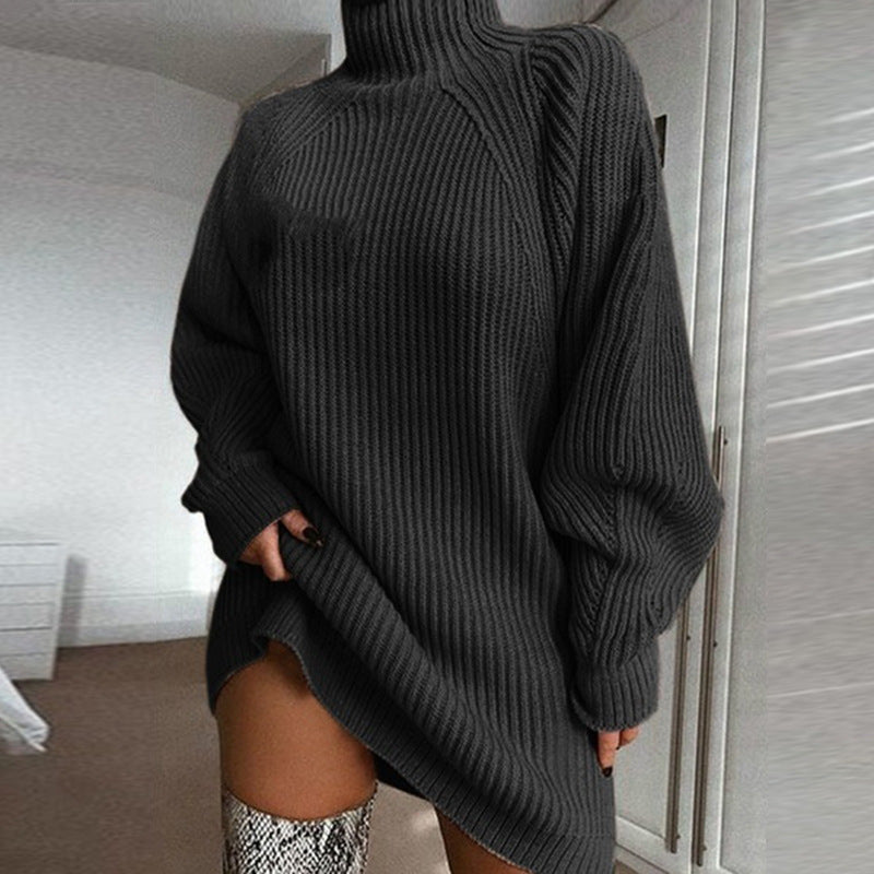 Turtle Neck  Casual Plain Color Sweater Short Dress