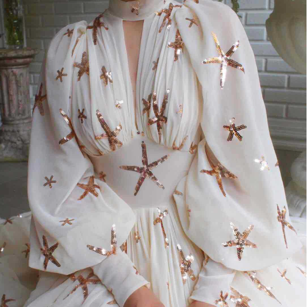 Elegant Lantern Sleeve Embroidery Chiffon Long Sleeve Dress